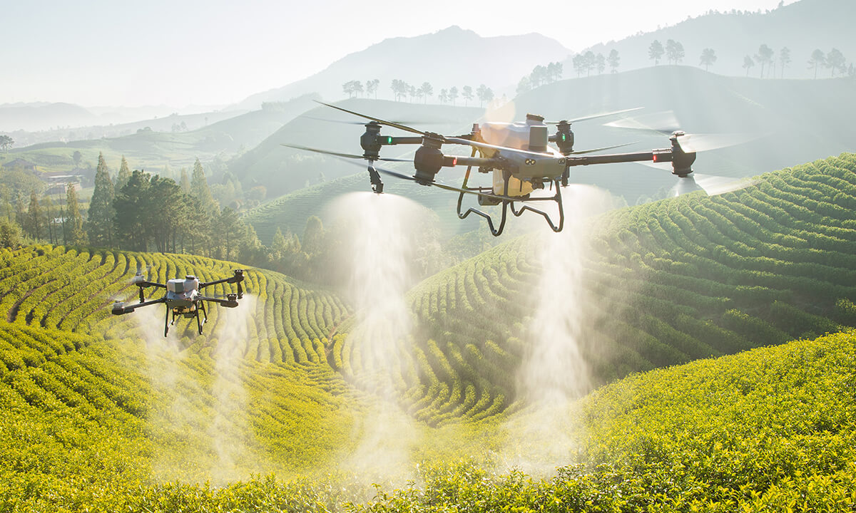 DJI Agras T50 and T25 Expand Aerial Crop Protection Capabilities