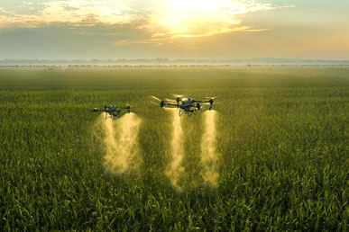 DJI Agras T50 and T25 Expand Aerial Crop Protection Capabilities